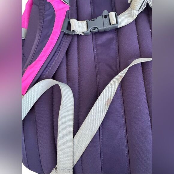 The North Face Pink& Purple Multi Pocket Backpack Bookbag